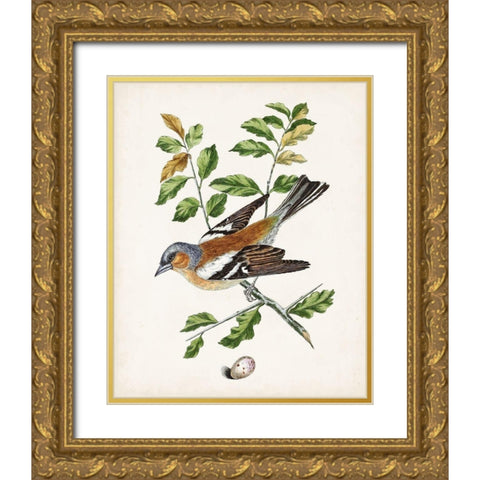 Antique Bird-Botanical and Egg II Gold Ornate Wood Framed Art Print with Double Matting by Unknown