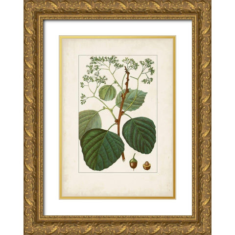 Antique Turpin Botanical IV Gold Ornate Wood Framed Art Print with Double Matting by Turpin