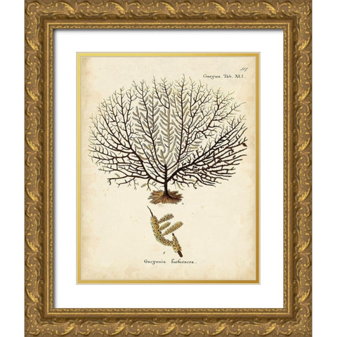 Esper Sea Fans VI Gold Ornate Wood Framed Art Print with Double Matting by Esper, Johann