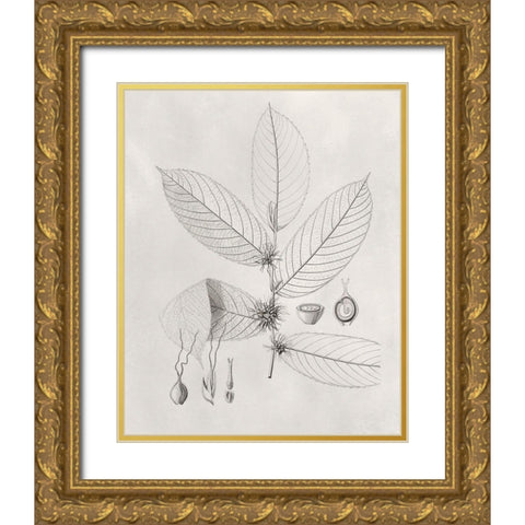 Vintage Leaves II Gold Ornate Wood Framed Art Print with Double Matting by Vision Studio