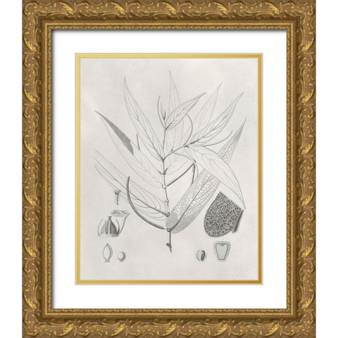 Vintage Leaves IV Gold Ornate Wood Framed Art Print with Double Matting by Vision Studio