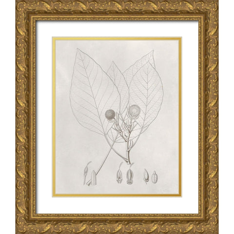 Vintage Leaves V Gold Ornate Wood Framed Art Print with Double Matting by Vision Studio