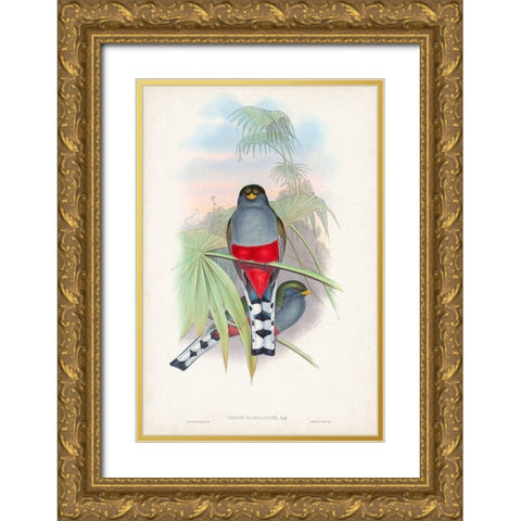 Gould Tropical Birds IV Gold Ornate Wood Framed Art Print with Double Matting by Gould, John