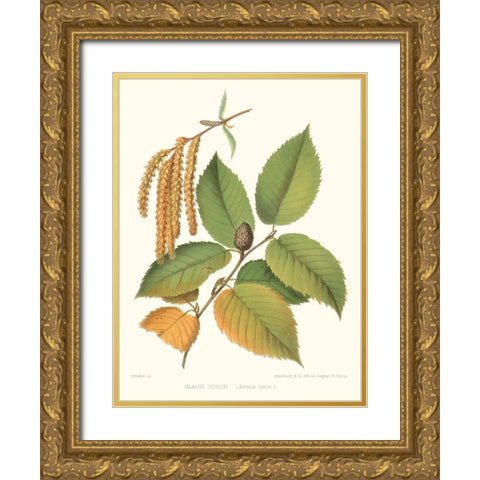 Non-embellished Black Birch Gold Ornate Wood Framed Art Print with Double Matting by Sprague