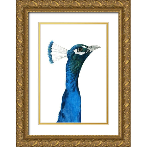 Peacock Portrait I Gold Ornate Wood Framed Art Print with Double Matting by Popp, Grace