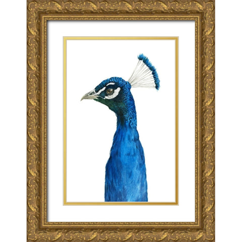 Peacock Portrait II Gold Ornate Wood Framed Art Print with Double Matting by Popp, Grace