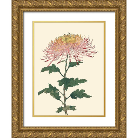 Chrysanthemum Woodblock II Gold Ornate Wood Framed Art Print with Double Matting by Unknown