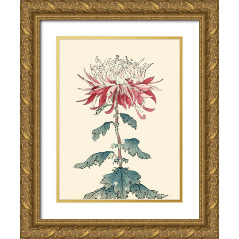 Chrysanthemum Woodblock III Gold Ornate Wood Framed Art Print with Double Matting by Unknown