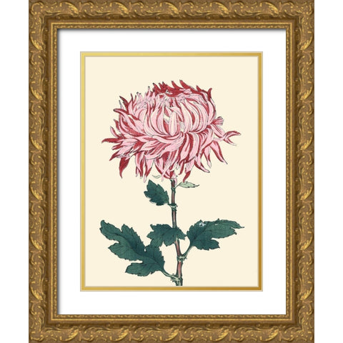 Chrysanthemum Woodblock IV Gold Ornate Wood Framed Art Print with Double Matting by Unknown