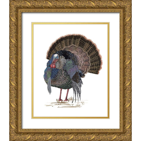 Turkey Study II Gold Ornate Wood Framed Art Print with Double Matting by Wang, Melissa