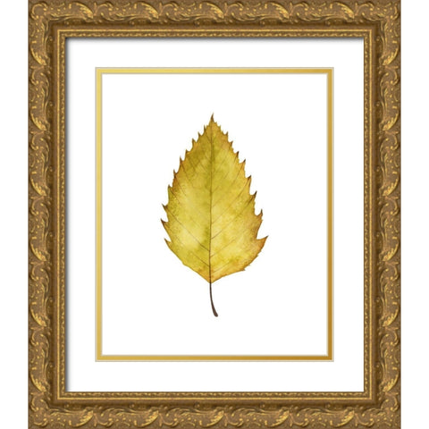 Fall Leaf Study I Gold Ornate Wood Framed Art Print with Double Matting by Popp, Grace