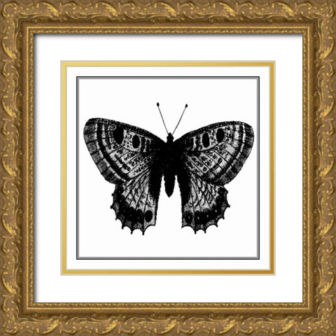 Custom Classical Butterfly II Gold Ornate Wood Framed Art Print with Double Matting by Vision Studio