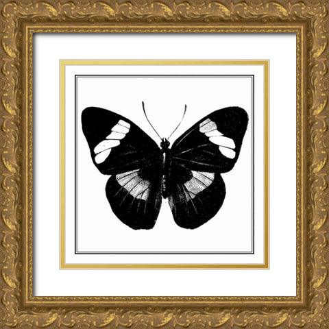 Custom Classical Butterfly III Gold Ornate Wood Framed Art Print with Double Matting by Vision Studio