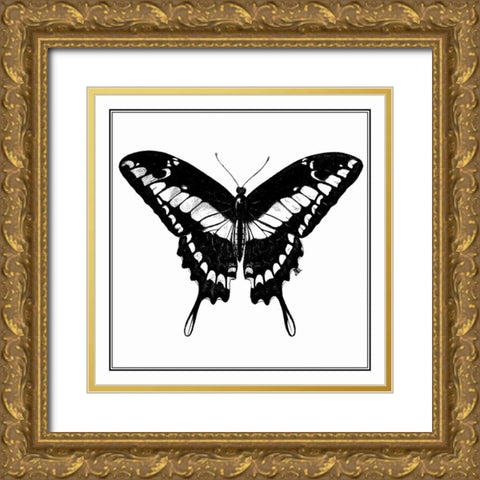 Custom Classical Butterfly IV Gold Ornate Wood Framed Art Print with Double Matting by Vision Studio