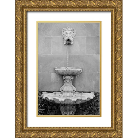 Black and White Fountains I Gold Ornate Wood Framed Art Print with Double Matting by DeNardo, Laura