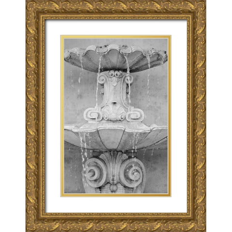 Black and White Fountains II Gold Ornate Wood Framed Art Print with Double Matting by DeNardo, Laura