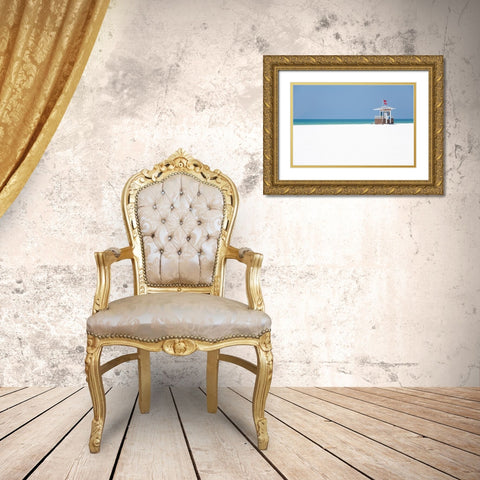 Coastal Hut II Gold Ornate Wood Framed Art Print with Double Matting by DeNardo, Laura