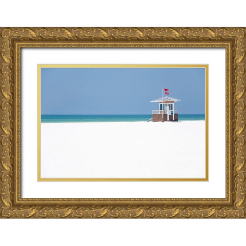 Coastal Hut II Gold Ornate Wood Framed Art Print with Double Matting by DeNardo, Laura