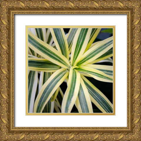 Cropped Garden Leaves I Gold Ornate Wood Framed Art Print with Double Matting by DeNardo, Laura