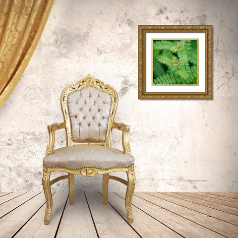 Cropped Garden Leaves II Gold Ornate Wood Framed Art Print with Double Matting by DeNardo, Laura