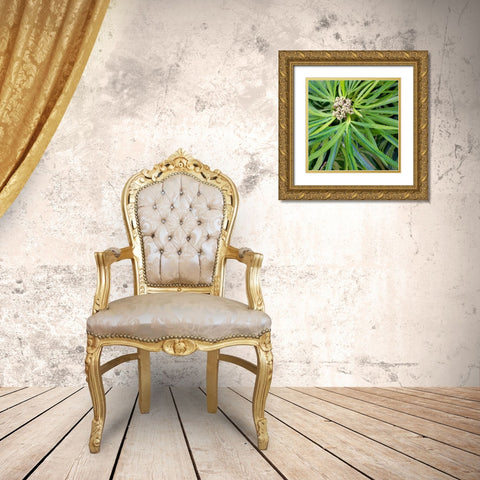 Cropped Garden Leaves V Gold Ornate Wood Framed Art Print with Double Matting by DeNardo, Laura