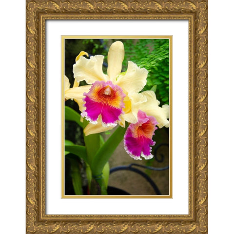Garden Array I Gold Ornate Wood Framed Art Print with Double Matting by DeNardo, Laura