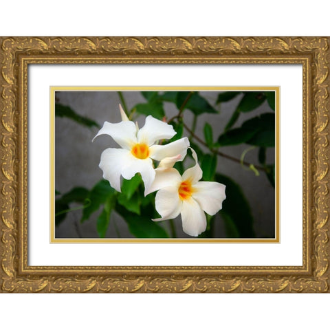 Garden Array IV Gold Ornate Wood Framed Art Print with Double Matting by DeNardo, Laura