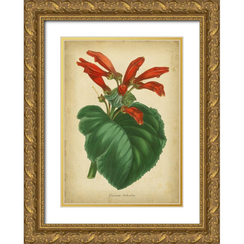 Vermillion Blooms I Gold Ornate Wood Framed Art Print with Double Matting by Paxton