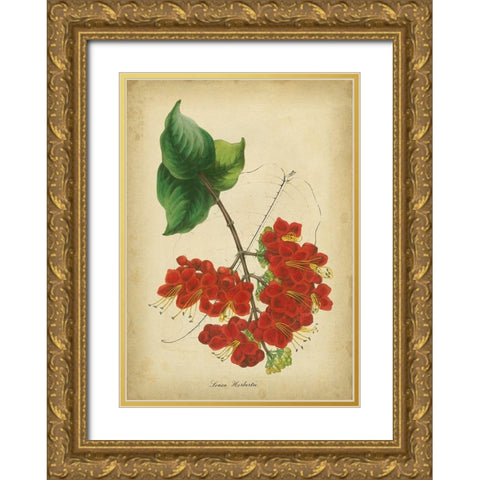 Vermillion Blooms II Gold Ornate Wood Framed Art Print with Double Matting by Paxton