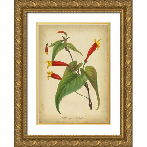 Vermillion Blooms IV Gold Ornate Wood Framed Art Print with Double Matting by Paxton