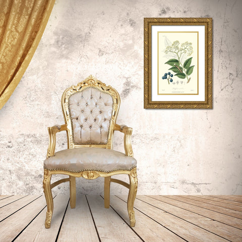 Woodland Foliage IV Gold Ornate Wood Framed Art Print with Double Matting by Weddell