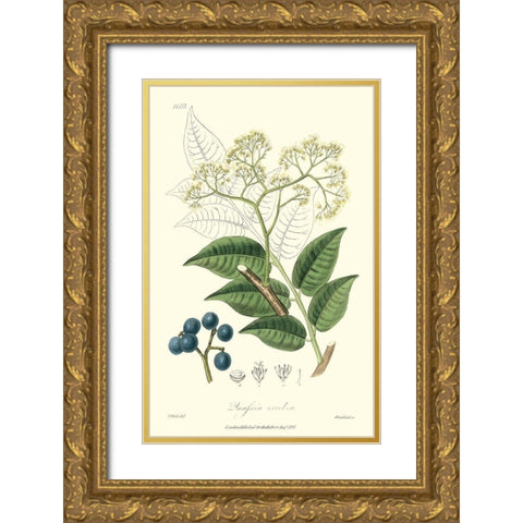 Woodland Foliage IV Gold Ornate Wood Framed Art Print with Double Matting by Weddell