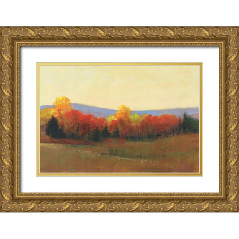 Changing Colors II Gold Ornate Wood Framed Art Print with Double Matting by OToole, Tim