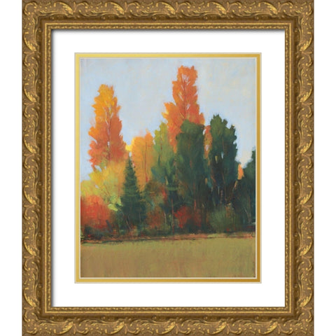 Fall Colors I Gold Ornate Wood Framed Art Print with Double Matting by OToole, Tim