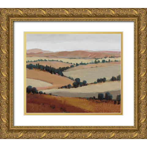 Soaring View I Gold Ornate Wood Framed Art Print with Double Matting by OToole, Tim
