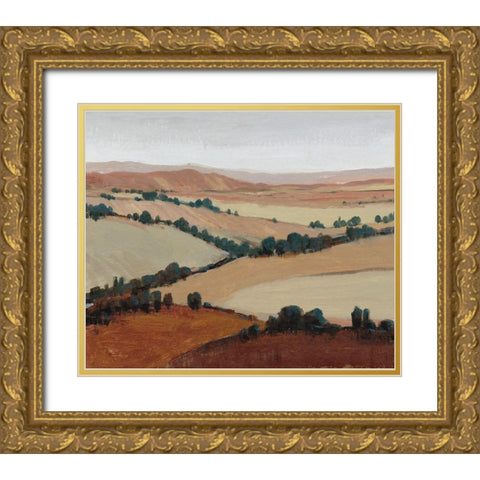 Soaring View II Gold Ornate Wood Framed Art Print with Double Matting by OToole, Tim