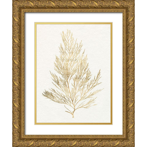 Gilded Algae V Gold Ornate Wood Framed Art Print with Double Matting by Goldberger, Jennifer