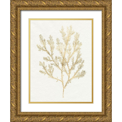 Gilded Algae VI Gold Ornate Wood Framed Art Print with Double Matting by Goldberger, Jennifer