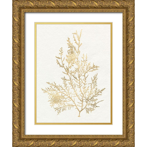 Gilded Algae VIII Gold Ornate Wood Framed Art Print with Double Matting by Goldberger, Jennifer