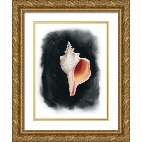 Conch on Black II Gold Ornate Wood Framed Art Print with Double Matting by Popp, Grace