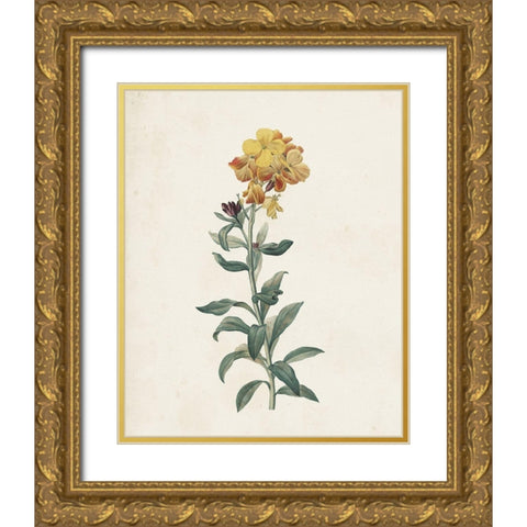 Classic Botanicals III Gold Ornate Wood Framed Art Print with Double Matting by Redoute, Pierre