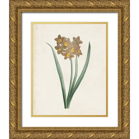 Classic Botanicals VI Gold Ornate Wood Framed Art Print with Double Matting by Redoute, Pierre