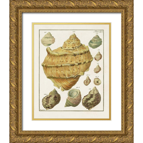 Pastel Shell Pair I Gold Ornate Wood Framed Art Print with Double Matting by Unknown