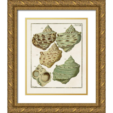 Pastel Shell Pair II Gold Ornate Wood Framed Art Print with Double Matting by Unknown