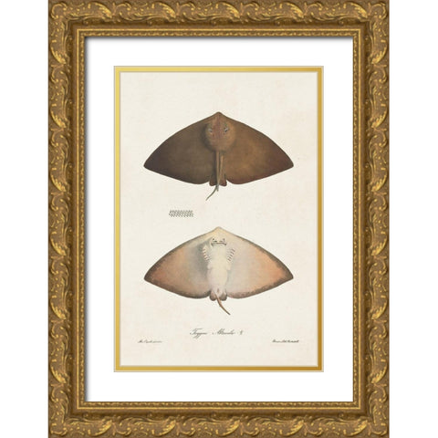 Antique Rays II Gold Ornate Wood Framed Art Print with Double Matting by Unknown