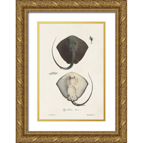 Antique Rays III Gold Ornate Wood Framed Art Print with Double Matting by Unknown