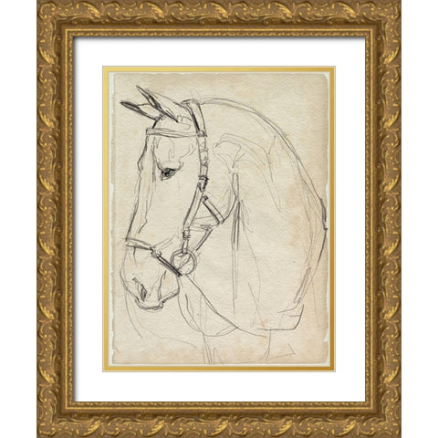 Horse in Bridle Sketch II Gold Ornate Wood Framed Art Print with Double Matting by Parker, Jennifer Paxton