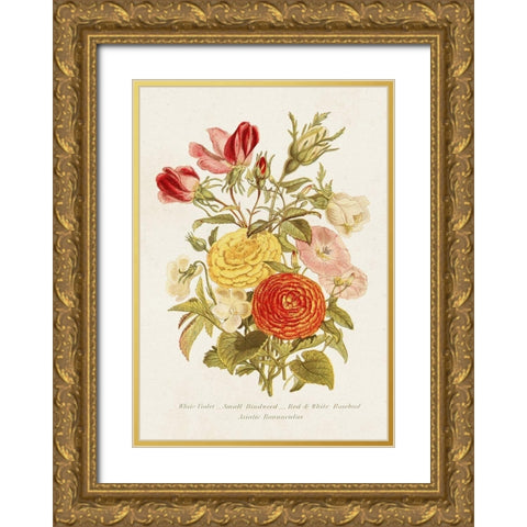 Antique Floral Bouquet I Gold Ornate Wood Framed Art Print with Double Matting by Unknown