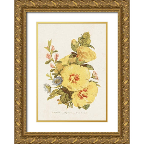 Antique Floral Bouquet VI Gold Ornate Wood Framed Art Print with Double Matting by Unknown