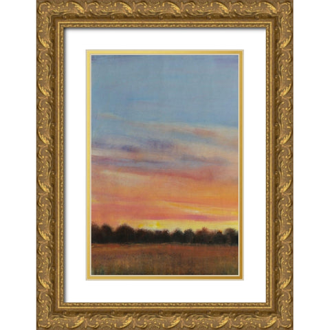 Daylight Fades I Gold Ornate Wood Framed Art Print with Double Matting by OToole, Tim